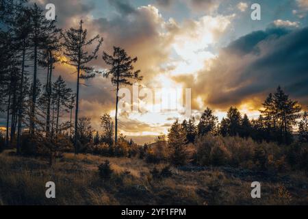 Eine wunderschöne Sonnenuntergangsszene mit Bäumen, die im Vordergrund stehen, mit malerischen Wolken, die den Hintergrund des Himmels zieren Stockfoto