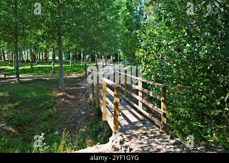 Eine ruhige Parkszene mit einer hölzernen Brücke über einen kleinen Pfad, umgeben von üppigen grünen Bäumen. Das Sonnenlicht filtert durch die Blätter und erzeugt einen pe Stockfoto