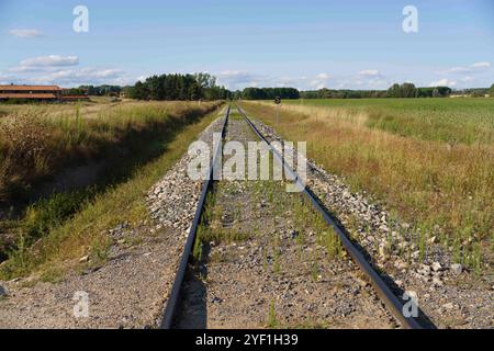 Ein ruhiger Blick auf eine Eisenbahnstrecke, die sich bis in die Ferne erstreckt, flankiert von üppigen grünen Feldern und Bäumen unter einem klaren blauen Himmel. Die Gleise sind umringt Stockfoto