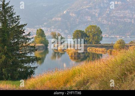 Feuchtgebiet Naturschutzgebiet Torbiere del Sebino in der Nähe von Lago d ' Iseo, Lombardei in Italien Stockfoto