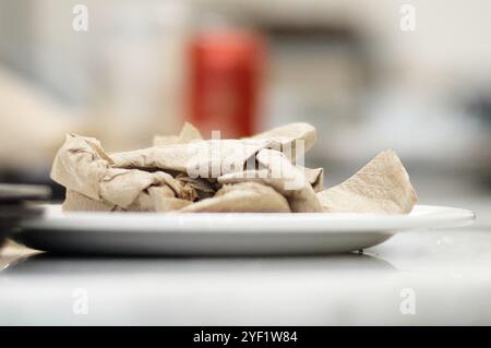 Weiße Platte im selektiven Fokus mit zerknitterten braunen Papierservietten und unscharfem Hintergrund. Stockfoto