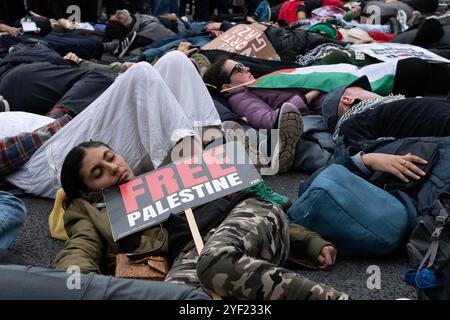 London, Großbritannien. 2. November 2024. Aktivisten inszenieren einen Sterbefall vor der Downing Street, der Opfer der israelischen Kriege im Gazastreifen, im besetzten Westjordanland und im Libanon, während mehrere tausend palästinensische Anhänger den 22. Nationalmarsch für Palästina seit Oktober 2023 abhalten. Organisiert von der Palästinensischen Solidaritätskampagne, Stop the war Coalition, Friends of Al-Aqsa und der Muslimischen Vereinigung Großbritanniens, versammelte sich der Protest in Whitehall, bevor er zur US-Botschaft marschierte, um einen sofortigen Waffenstillstand und ein Ende der Unterstützung Großbritanniens und der USA sowie des Waffenverkaufs an Israel zu fordern. Quelle: Ron Fassbender/Alamy Live News Stockfoto