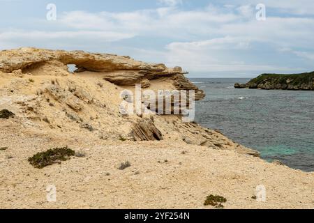 White Cliff Point, Hamelin Bay, in der Nähe von Augusta, Western Australia, Australien Stockfoto