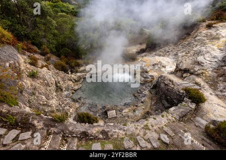 Im Herzen des Dorfes Furnas sprudelt ein Kessel geothermischer Aktivität an die Oberfläche, mit dampfenden Schlammbecken und zischenden Lüftungsschlitzen, die einen Sulfu freisetzen Stockfoto