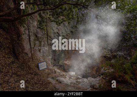 Im Herzen des Dorfes Furnas sprudelt ein Kessel geothermischer Aktivität an die Oberfläche, mit dampfenden Schlammbecken und zischenden Lüftungsschlitzen, die einen Sulfu freisetzen Stockfoto