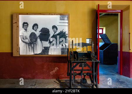 Das Maia Tobacco Museum befindet sich in einer historischen Fabrik und bietet einen faszinierenden Einblick in den Anbau, die Produktion und die kulturelle Bedeutung von Stockfoto