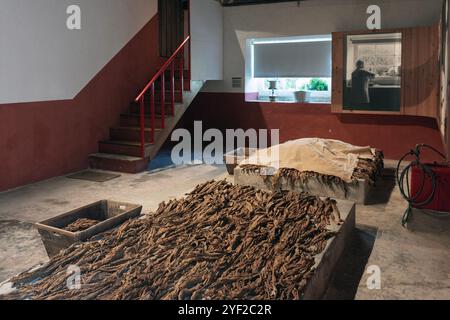 Das Maia Tobacco Museum befindet sich in einer historischen Fabrik und bietet einen faszinierenden Einblick in den Anbau, die Produktion und die kulturelle Bedeutung von Stockfoto