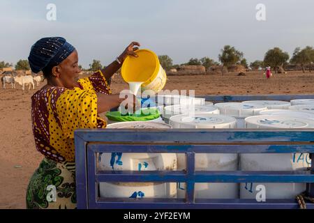 Milchentnahme der Genossenschaft La Laiterie du Berger in der Population Peul im nördlichen Senegal 016758 050 Stockfoto