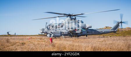 Ein AH-1Z Viper Hubschrauber, der an der Marine Aviation Weapons and Tactics Squadron One (MAWTS-1) befestigt ist, erhält während der MAWTS-1 Final Exercise (WTI FINEX) auf San Clemente Island, Kalifornien, 25. Oktober 2024 Treibstoff. Die von MAWTS-1 veranstaltete WTI FINEX betont die operative Integration der sechs Funktionen der Meeresluftfahrt zur Unterstützung der Marine Air Ground Task Force, Joint and Coalition Forces. (Foto der U.S. Navy von Mass Communication Specialist 2nd Class Charlotte Dudenhoeffer) Stockfoto