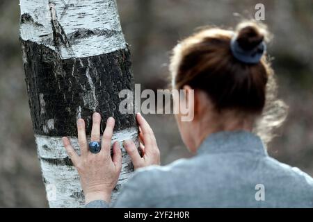 Naturtherapie. Qi Gong und Waldbaden, auch bekannt als Shinrin-Yoku. Frankreich. Naturtherapie 016798 026 Stockfoto