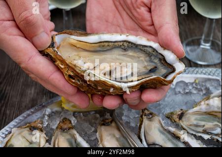 Essen von frischen lebenden Austern mit Zitrone und Brot im Farmcafé im Austerndorf Arcachon bassin, Gujan-Mestras Hafen, Bordeaux, Fran Stockfoto