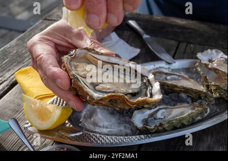 Essen von frischen lebenden Austern mit Zitrone und Brot im Farmcafé im Austerndorf Arcachon bassin, Gujan-Mestras Hafen, Bordeaux, Fran Stockfoto