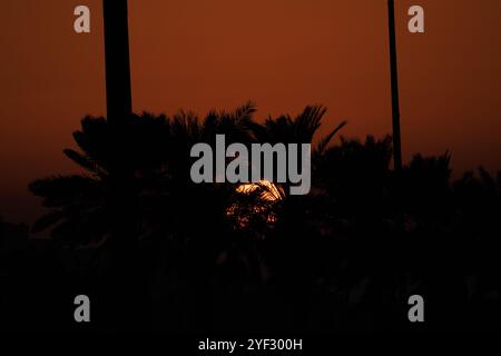 Sakhir, Bahrain. November 2024. Während der 8. Runde der FIA-Langstrecken-Weltmeisterschaft 2024 2024, vom 31. Oktober bis 2. November 2024 auf dem Bahrain International Circuit in Sakhir, Bahrain Credit: Independent Photo Agency/Alamy Live News Stockfoto