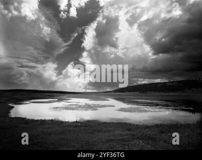 BW02282-01..... WYOMING – Hayden Valley im Yellowstone-Nationalpark. K.B. Canham 4x5 mit Ilford HP5 Plus Film Stockfoto