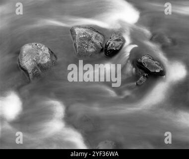 BW02310-00....WYOMING - Rocks in Rose Creek, Lamar Valley - Yellowstone National Park. K.B. Canham 4x5 Kamera mit Ilford HP5 Plus Film. Stockfoto