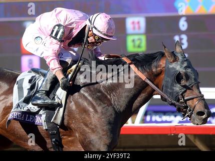 Del Mar, Usa. November 2024. Sierra Leone, geritten von Flavien Prat, gewinnt den Breeders Cup Classic während der 41. Runde der Breeders' Cup Championships auf der Del Mar Rennstrecke in Del Mar, Kalifornien. Samstag, 2. November 2024. Foto: Mark Abraham/UPI Credit: UPI/Alamy Live News Stockfoto