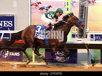 Del Mar, Usa. November 2024. Full Serano, Joel Rosario Up, gewinnt die Breeders Cup Dirt Mile bei der 41. Runde der Breeders' Cup Championships auf der Del Mar Rennstrecke in Del Mar, Kalifornien. Samstag, 2. November 2024. Foto: Mark Abraham/UPI Credit: UPI/Alamy Live News Stockfoto