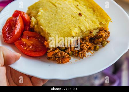 Frisch zubereiteter Hirtenkuchen mit eingelegten Tomaten auf einem weißen Teller in der Hand Stockfoto