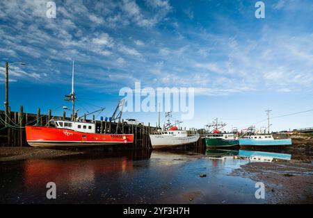 Boote bei Ebbe   Advocate Harbour, Nova Scotia, CAN Stockfoto