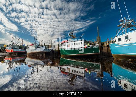 Boote bei Ebbe   Advocate Harbour, Nova Scotia, CAN Stockfoto