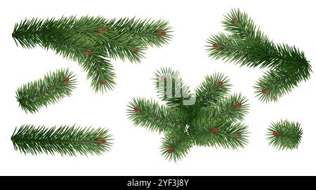 Immergrüner Baum Tender Zweige realistische Vektorsymbole gesetzt Stock Vektor