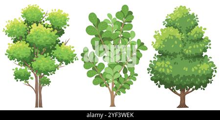 Zeichentrickbaum-Vektor-Set, Sammlung von Bäumen, natürliches Baum-Pflanze-Design-Element Stock Vektor