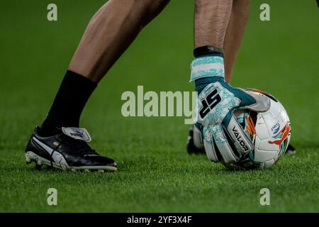 Barcelona, Spanien. November 2024. Offizieller Matchball des Liga-F-Spiels zwischen FC Barcelona und SD Eibar bei Estadi Johan Cruyff. Endstand: FC Barcelona 4:0, SD Eibar. (Foto: Felipe Mondino/SOPA Images/SIPA USA) Credit: SIPA USA/Alamy Live News Stockfoto