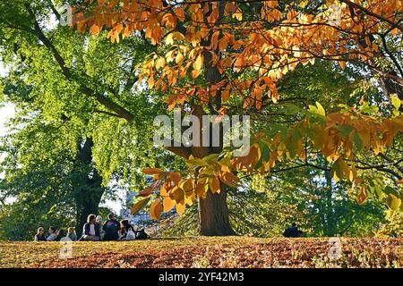 New York, USA. November 2024. Am 2. November 2024 verbringen die Menschen Freizeit im Central Park in New York, USA. Quelle: Li Rui/Xinhua/Alamy Live News Stockfoto