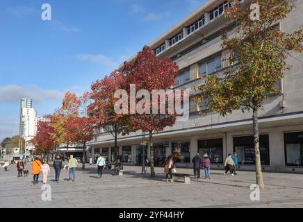 Ein Hauch herbstlicher Farben auf den Bäumen am Armada Way von Plymouth, der durch die Fußgängerzone mit Geschäften und Straßencafés führt. Stockfoto