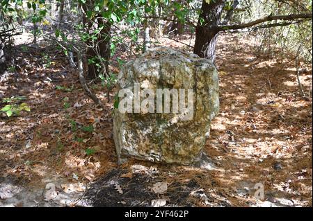 Granitdenkmal, in dem Generalleutnant Thomas J 'Stonewall' Jackson in der Schlacht von Chancellorsville am 2. Mai 1863 erschossen wurde. Stockfoto