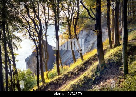 Wissower Klinken, Kreidefelsen, Insel Rügen, Nationalpark Jasmund Stockfoto