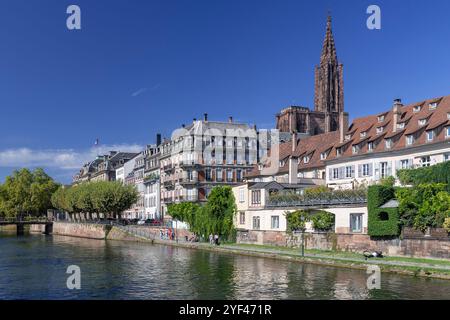 Straßburg, Frankreich - Blick auf den Fluss Ill mit alten Gebäuden hinter und im Hintergrund der Glockenturm des Straßburger Doms. Stockfoto