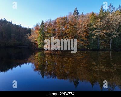 Wald in herbstlichen Farben spiegelt sich in einem See Stockfoto