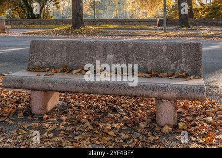 Eine Betonbank ist in der Herbstsaison mit trockenen Blättern bedeckt, Viale delle Piagge Avenue, Pisa, Italien Stockfoto
