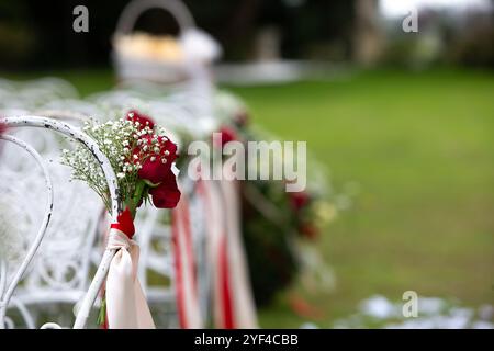 Rote Rosen und der Atem des Babys zieren weiße Hochzeitsstühle und verleihen einer Zeremonie im Freien einen Hauch von Eleganz Stockfoto