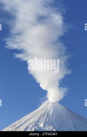 Winterliche vulkanische Landschaft: Aktive Klyuchevskaja Sopka (Klyuchevskoy Vulkan), Blick auf die Spitze des Vulkanausbruchs: Emission vom Krater des Vulkans pl Stockfoto