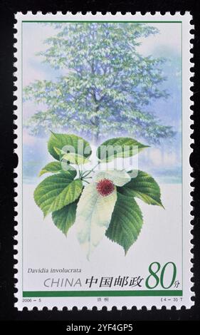 CHINA - CA. 2006: A-Briefmarken, gedruckt in China, zeigt 2006-5, Scott 3478-81 Relic Plants, ca. 2006. Stockfoto