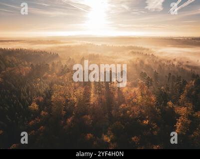 Morgenatmosphäre über einem dichten herbstlichen Wald bei Sonnenaufgang, mit einem goldenen Schein durch den Nebel, Gechingen, Schwarzwald, Deutschland, Europa Stockfoto