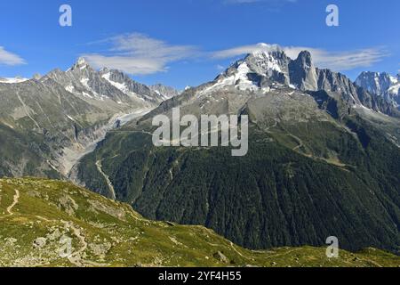 Alpenpanorama der französischen Alpen, von links nach rechts: Gipfel Aiguille du Chardonnet und Aiguille d'Argentiere, Gletscher Glacier d'Argentiere, Summ Stockfoto