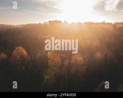 Herbstwald bei Sonnenuntergang mit goldenem Licht und bunten Blätterdach unter hellem Himmel, Gechingen, Schwarzwald, Deutschland, Europa Stockfoto