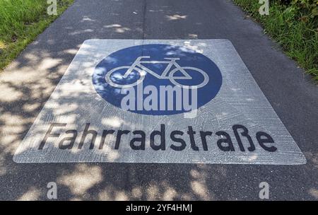 Radweg, Verkehrsschild mit Beschriftung auf Asphalt, Markierung, Bodensee-Radweg, Fernradweg, Fernradweg, Fried Stockfoto