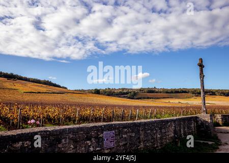 Weinberge von Romanee-conti im Herbst, Vosne-romanee, Burgunderrot, Frankreich Stockfoto