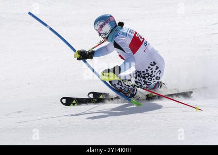 MOROZNAYA MOUNT, KAMTSCHATKA, RUSSLAND, 29. MÄRZ 2019: Skirennfahrer Gavrish Veronika Murmansk Region Skifahren abwärts. Russischer Alpinski-Cup, Inte Stockfoto