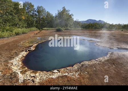 Wunderschöne Sommerlandschaft der Halbinsel Kamchatka: Blick auf den heißen Quellengreif bei Ivanov im Naturpark Nalychevo und den aus dem Fluss fließenden Travertinbach Stockfoto