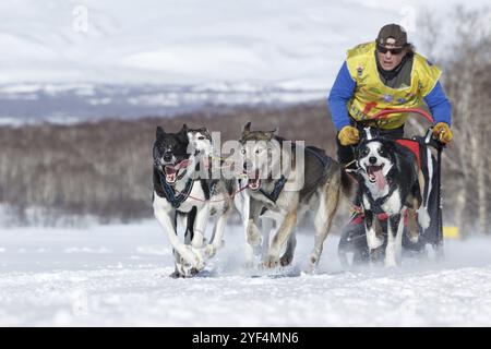 PETROPAVLOVSK, KAMTSCHATKA HALBINSEL, RUSSLAND, 25. Februar 2017: Laufschlittenhundeteam Kamtschatka Musher Andrej Semashkin. Kamtschatka Schlittenhund Race Beringia, R Stockfoto