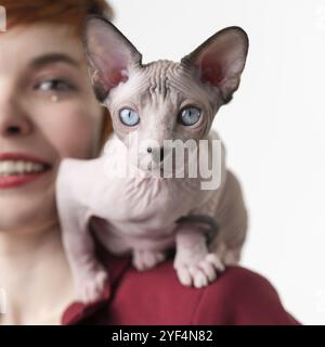Sphynx Hairless Cat blickt auf die Kamera, die auf der Schulter einer lächelnden, rothaarigen jungen Frau in roter Jacke sitzt. Vorderansicht, Studioaufnahme auf weißem Hintergrund Stockfoto