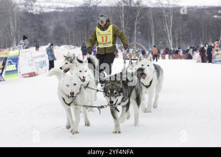 ESSO VILLAGE, KAMTSCHATKA, RUSSLAND, 8. MÄRZ 2013: Running Hundeschlittenteam Kamtschatka Musher Alexander Chuprin. Kamtschatka traditionelles Hundeschlittenrennen Bering Stockfoto