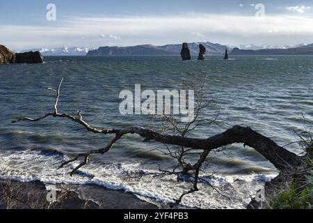 Wunderschöne Meereslandschaft von Kamtschatka: Blick auf felsige Inseln im Meer, Three Brothers Rocks in der Avachinskaya Bay (Avacha Bay) im Pazifischen Ozean. Kamtschatka Peninsul Stockfoto