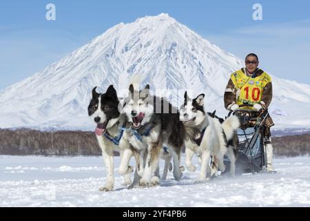 KAMTSCHATKA, RUSSLAND, 25. Februar 2017: Running Husky Schlittenhund-Team Musher Nivani Ivan auf Hintergrund Korjak Vulkan. Kamtschatka-Schlittenhund-Rennen Beringia, Russland Stockfoto