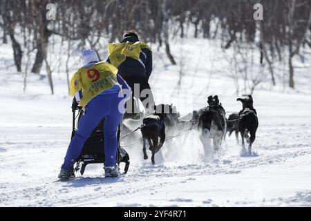 PETROPAVLOVSK KAMTSCHATSKI, HALBINSEL KAMTSCHATKA, RUSSLAND, 25. Februar 2017: Hundeschlitten fahren auf der Winterstrecke von zehn Kilometern. Russischer Pokal von Stockfoto